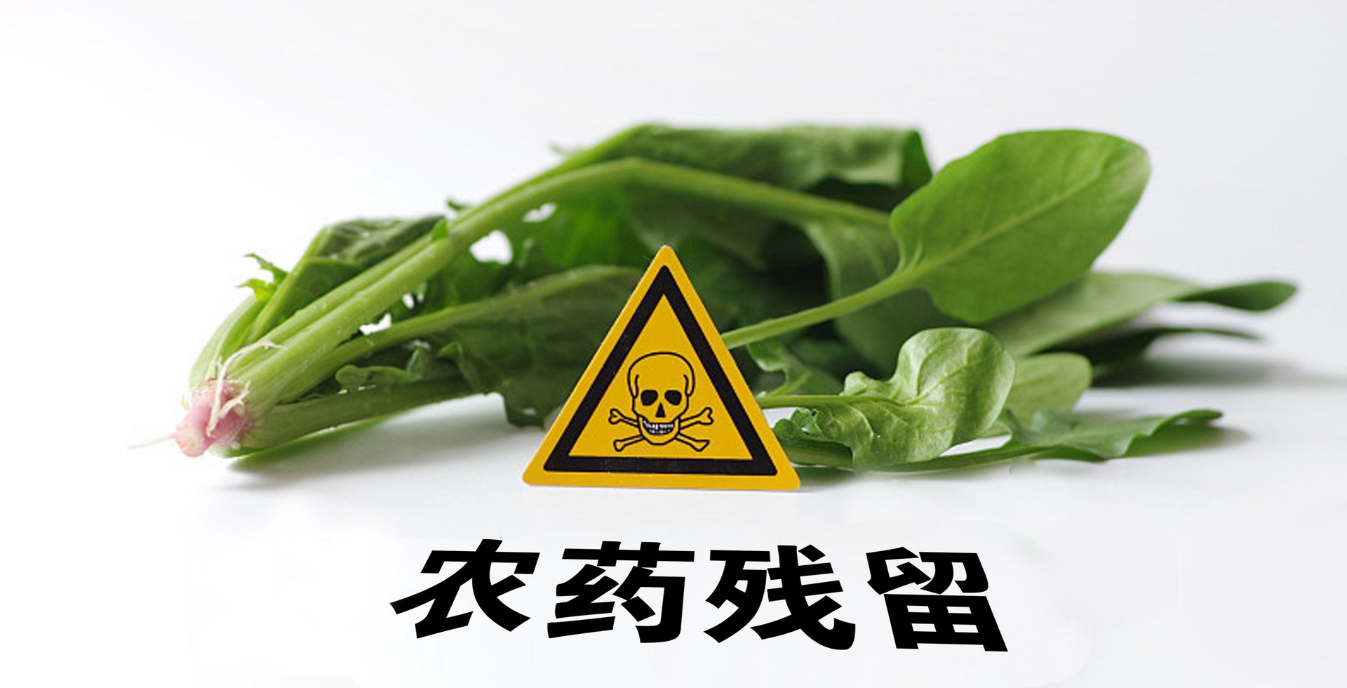 b7a94f48f6b472e6d92ed9080ec70c6d